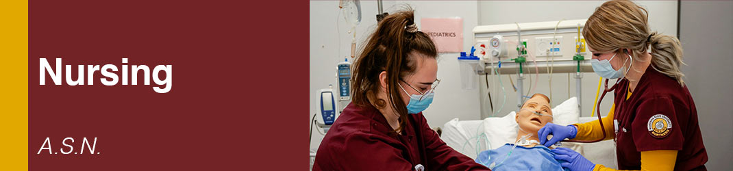 Nursing ASN (MSUN students working with SIM man)